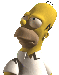 Homer 3D