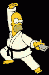 Karate Homer